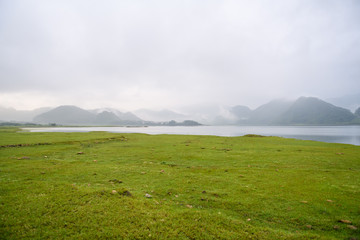 动植物的小知识
