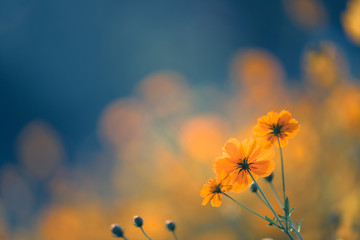 我要将长句改成短句