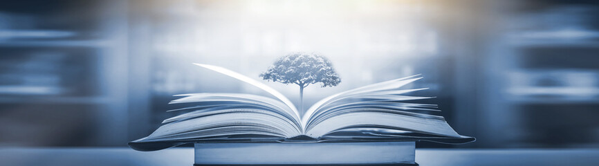 用电安全知识内容