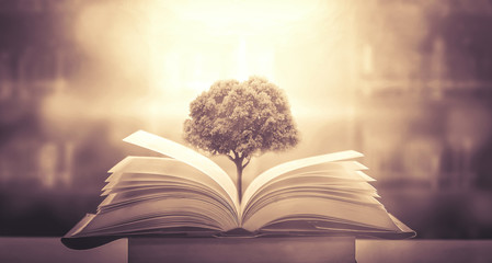 怎样研究消费者的购买心理？