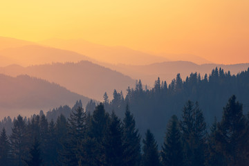 护士自称医学生对吗