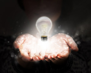 中科院植物园有多少种植物