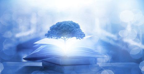 预防传染病手抄报内容