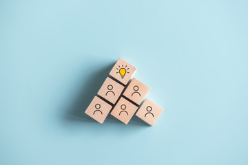 动植物的小知识