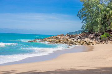 动植物的小知识