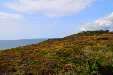 这句话的意思是什么？