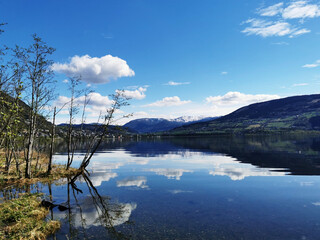 低碳生活有哪些-请举1o个例子