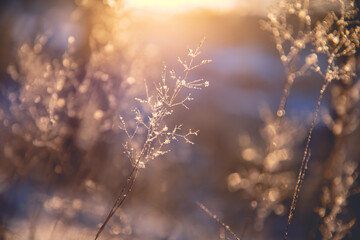 预防传染病手抄报内容