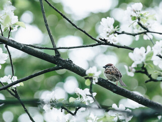 自媒体是什么？