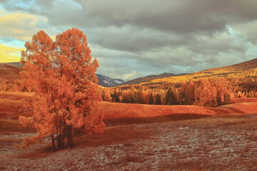 “早点休息”用广东话怎么说