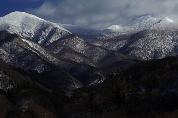 预防传染病手抄报内容