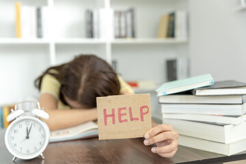 幼儿园固定资产包括哪些