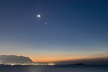 中科院植物园有多少种植物