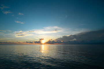 中科院植物园有多少种植物