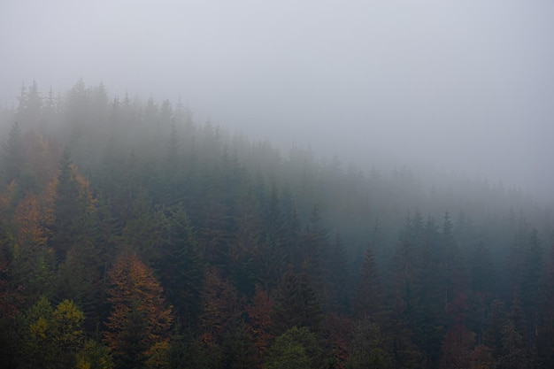 中科院植物园有多少种植物