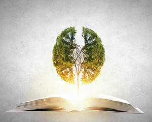 这句话的意思是什么？