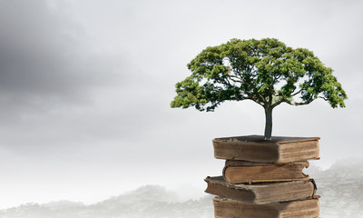 动植物的小知识