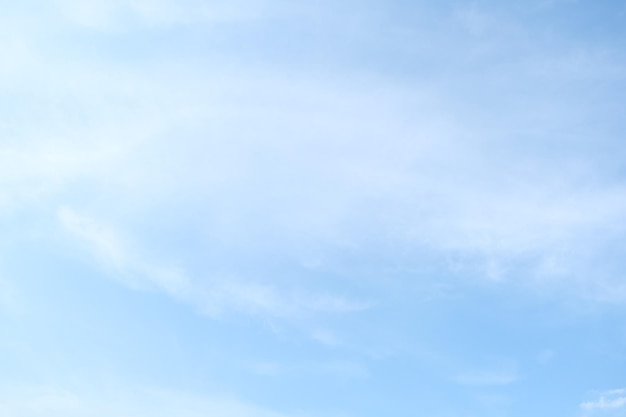 这句话的意思是什么？