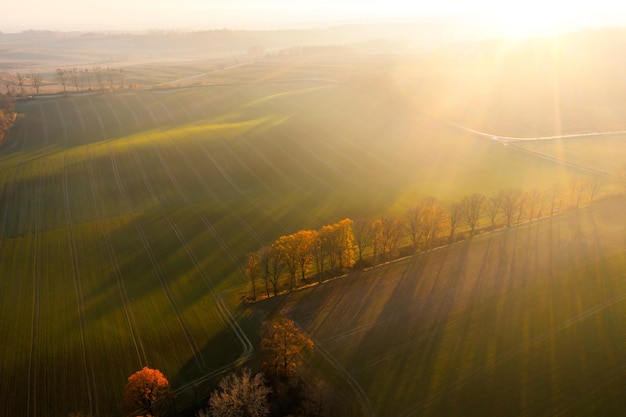 动植物的小知识