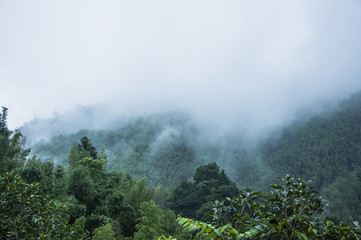 幼儿园安全工作会议记录内容